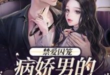 《禁爱囚笼:病娇男的独占欲》小说季晏清慕之桃章节章节免费在线阅读-酷猫文学