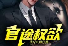 陆长青完整版《官途权欲》小说免费阅读-酷猫文学