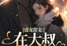 盛宠甜妻：在大叔怀里沦陷安姩盛怀安小说在线章节目录阅读最新章节-酷猫文学