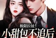 已完结小说《极限拉扯！小甜包不追后男神他慌了》在线章节阅读-酷猫文学