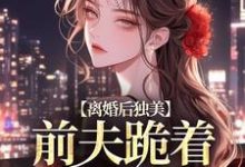寻找离婚后独美,前夫跪着求原谅小说的最新更新章节-酷猫文学
