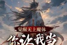 完结版《觉醒无上魔体,你让我当正道神子》章节阅读-酷猫文学
