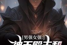 完结版《男强女强:神王殿主和女特工闪婚了》章节阅读-酷猫文学