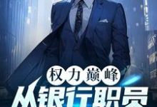权力巅峰:从银行职员到封疆大吏这本小说在哪里可以看?哪里有免费试读章节?-酷猫文学