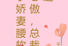 小说《小娇妻腰软心傲,总裁迷》章节免费阅读-酷猫文学