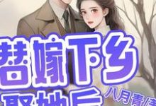 替嫁下乡,娶她后,他全家都活了简艾陈宵小说大结局免费试读-酷猫文学