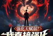 已完结小说《强化天赋弱?我直接强化强化天赋》章节在线阅读-酷猫文学