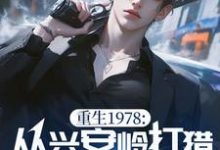 秦风小说《重生1978：从兴安岭打猎到万元户》完整版免费阅读-酷猫文学
