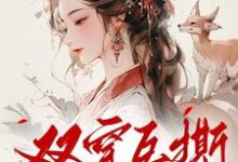 窦芍韵小说双穿互撕?农门弃妇她改写剧本啦在线阅读章节-酷猫文学