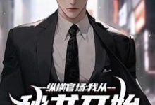 纵横官场：我从秘书开始强势崛起免费阅读，纵横官场：我从秘书开始强势崛起章节目录-酷猫文学