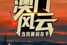 澳门风云：当我筹码在手王东曼丽，澳门风云：当我筹码在手完整版最新章节-酷猫文学