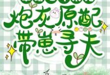 完整版《军婚七年未见,炮灰原配带崽寻夫》小说免费阅读-酷猫文学
