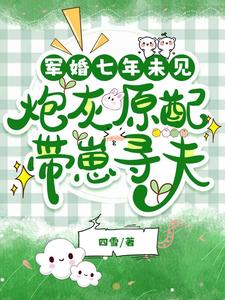 完整版《军婚七年未见，炮灰原配带崽寻夫》小说免费阅读
