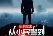 回到过去：从小民警到仕途巅峰！小说完结版章节免费阅读-酷猫文学