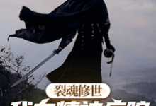 羽栥亿小说完整版《裂魂修世我在精神病院的修炼之旅》免费阅读-酷猫文学