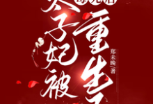 太子妃被毒死后重生了这本小说怎么样?免费在线阅读试试-酷猫文学
