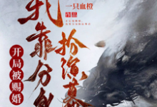 开局被赐婚，我靠分身扮演幕后苏越在线章节免费阅读-酷猫文学