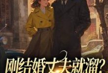 刚结婚丈夫就溜?姐真不吃人!小说有没有完结版在线?-酷猫文学