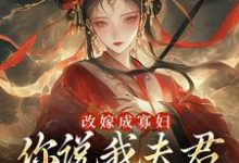 求改嫁成寡妇，你说我夫君又复活了？小说免费资源-酷猫文学