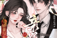宋书凝郁琛小说娇妻勾人：离婚个球！只想亲哭她完整版阅读-酷猫文学