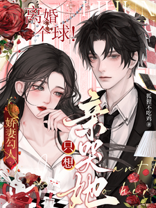 宋书凝郁琛小说娇妻勾人：离婚个球！只想亲哭她完整版阅读