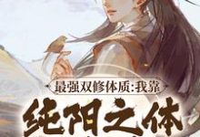 《最强双修体质:我靠纯阳之体破境》全集免费在线阅读(林浩宁轻雪)-酷猫文学