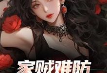免费看家贼难防:老婆是个扶弟魔小说的网站有哪些?-酷猫文学
