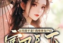 薛相宜小说叫什么(逼我做平妻?我单开女户后富甲天下完整版免费阅读)-酷猫文学