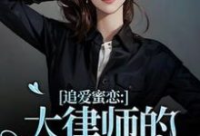追爱蜜恋：大律师的惹火宝贝免费阅读，追爱蜜恋：大律师的惹火宝贝章节在线阅读-酷猫文学