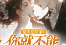 《渣夫总回家？你就不能找找新欢》小说洛言赵晏州章节章节免费在线阅读-酷猫文学