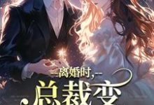 小说《离婚时，总裁变偏执病娇了》完整版章节免费阅读-酷猫文学