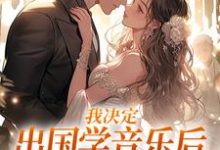 已完结小说《我决定出国学音乐后，大律师后悔了》最新章节-酷猫文学