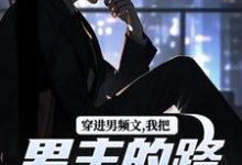 已完结小说《穿进男频文,我把男主的路给堵了!》在线章节阅读-酷猫文学