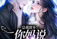 在线寻找总裁留步!你妈说让你娶我小说的无删减版本-酷猫文学