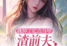 小说《就掉了亿点马甲,渣前夫哭着求复婚》完整版章节免费阅读-酷猫文学