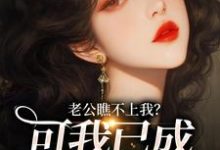 江漫声小说免费阅读完整版-酷猫文学