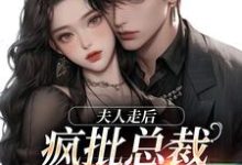 《夫人走后，疯批总裁寻遍全世界》小说免费阅读完整版-酷猫文学