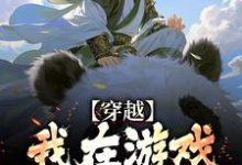 顾凡小说完结版在线阅读,穿越:我在游戏里面当反派免费看-酷猫文学