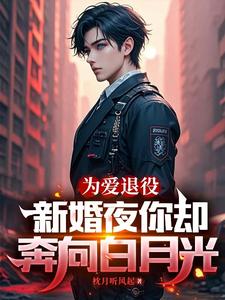 苏瑾陆战小说完整版《为爱退役，新婚夜你却奔向白月光》免费阅读
