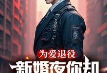 《为爱退役，新婚夜你却奔向白月光》苏瑾陆战完整版小说免费阅读-酷猫文学
