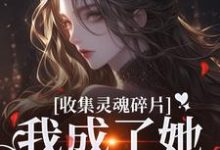 燕停小说《收集灵魂碎片，我成了她的心尖宠》在线阅读-酷猫文学