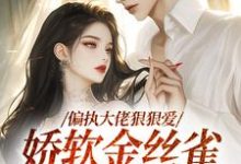 《偏执大佬狠狠爱，娇软金丝雀往哪逃》小说免费阅读完整版-酷猫文学