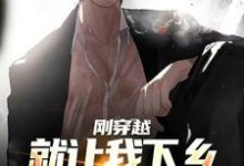 完结版《刚穿越就让我下乡,这该如何是好》章节阅读-酷猫文学