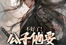 不好了!公子他要挑战皇权这本小说怎么样?免费在线阅读试试-酷猫文学
