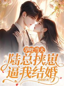 完结版《孕吐当天，陆总挟崽逼我结婚》免费阅读