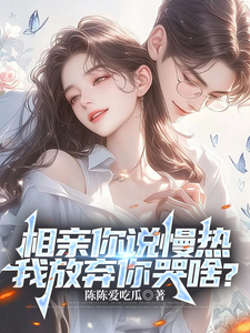 相亲你说慢热，我放弃你哭啥？这本小说怎么样？免费在线阅读试试