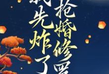 穿越后，我先炸了抢婚修罗场叶楚月，穿越后，我先炸了抢婚修罗场小说免费阅读-酷猫文学