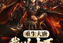 小说《重生大唐,我以十万铁骑镇边疆》章节免费阅读-酷猫文学