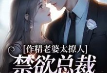 作精老婆太撩人，禁欲总裁深深沦陷小说有没有完结版在线？-酷猫文学