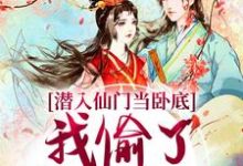 宋时卿谢寂玉完整版小说《潜入仙门当卧底，我偷了谪仙的心》免费阅读-酷猫文学
